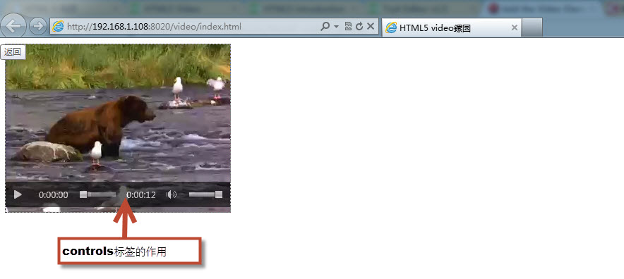 HTML5 video实现全屏播放的具体步骤和设置方法是什么? 第2张 HTML5 video实现全屏播放的具体步骤和设置方法是什么? 第2张
