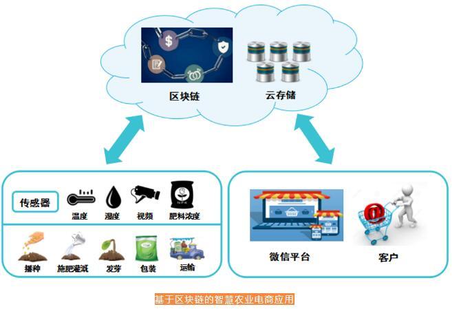 互联网区块链溯源服务可以干嘛?区块链溯源系统有哪些应用场景 第3张 互联网区块链溯源服务可以干嘛?区块链溯源系统有哪些应用场景 第3张