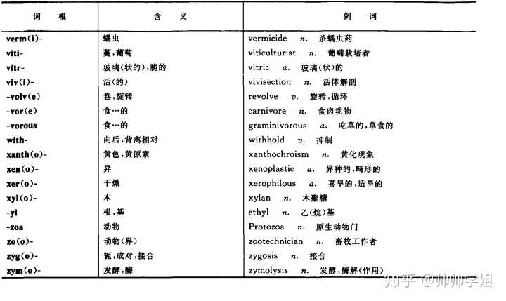 配置法英文到底是什么?,配置法英文怎么学更高效 第2张 配置法英文到底是什么?,配置法英文怎么学更高效 第2张