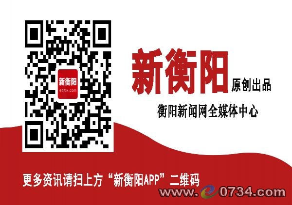 衡阳域名怎么注册?衡阳域名注册需要什么资料 第3张 衡阳域名怎么注册?衡阳域名注册需要什么资料 第3张