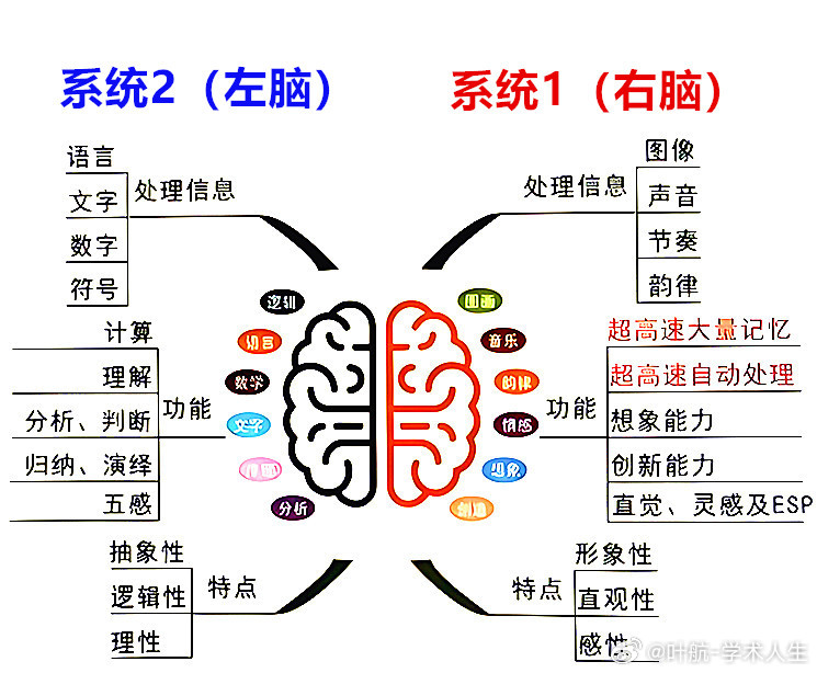 高级脑区是怎样处理语言信息的?,语言信息处理机制是什么? 第1张 高级脑区是怎样处理语言信息的?,语言信息处理机制是什么? 第1张