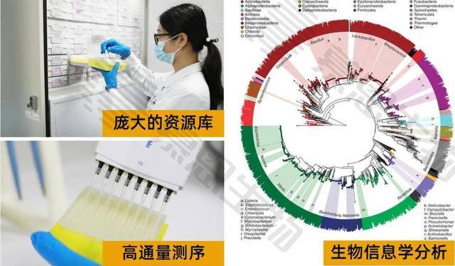 高通量测序与大数据分析微盘怎么用,有哪些资源? 第2张 高通量测序与大数据分析微盘怎么用,有哪些资源? 第2张