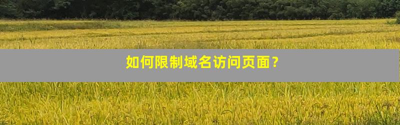 限制访问域名怎么设置?,域名访问限制怎么设置才正确 第3张 限制访问域名怎么设置?,域名访问限制怎么设置才正确 第3张
