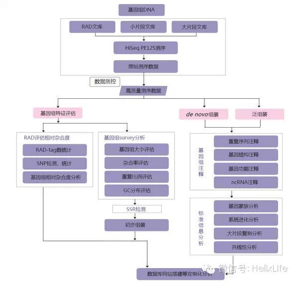 高通量测序与大数据分析如何获取?,需要什么条件? 第2张 高通量测序与大数据分析如何获取?,需要什么条件? 第2张
