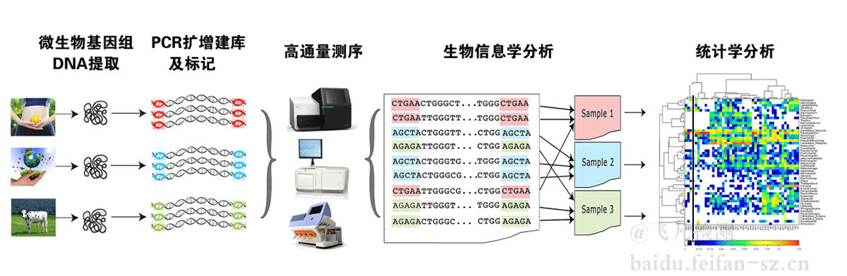 高通量测序与大数据分析如何获取?,需要什么条件? 第1张 高通量测序与大数据分析如何获取?,需要什么条件? 第1张