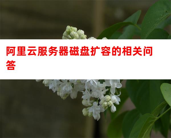 阿里云服务器数据盘如何扩容及数据安全迁移? 第1张 阿里云服务器数据盘如何扩容及数据安全迁移? 第1张