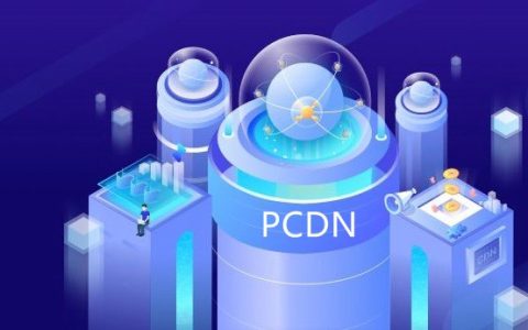 idccdnbgp_是什么意思?,怎么用? 第2张 idccdnbgp_是什么意思?,怎么用? 第2张