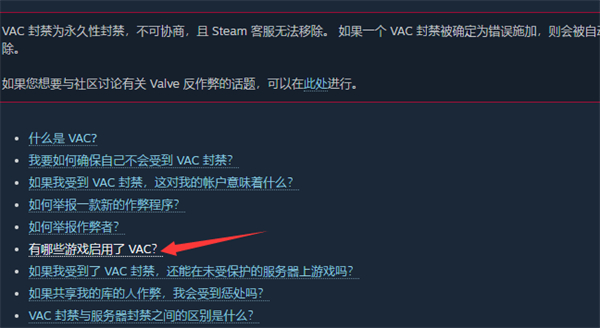启用 VAC 的游戏服务器是什么意思