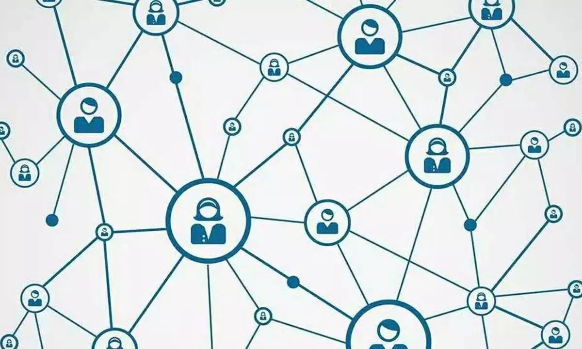 分析网络专题揭秘，网络专题背后的秘密与影响？ 第2张
