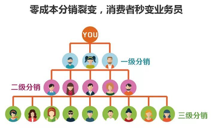 如何打造高效分销网站?揭秘分销网站建设的核心步骤与技巧! 第2张 如何打造高效分销网站?揭秘分销网站建设的核心步骤与技巧! 第2张