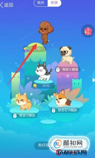 QQ厘米秀中宠物角色的存在意义与功能揭秘 第2张 QQ厘米秀中宠物角色的存在意义与功能揭秘 第2张
