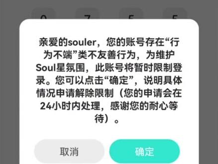 soul发视频卡住现象背后的原因揭秘，技术故障还是网络问题？ 第2张