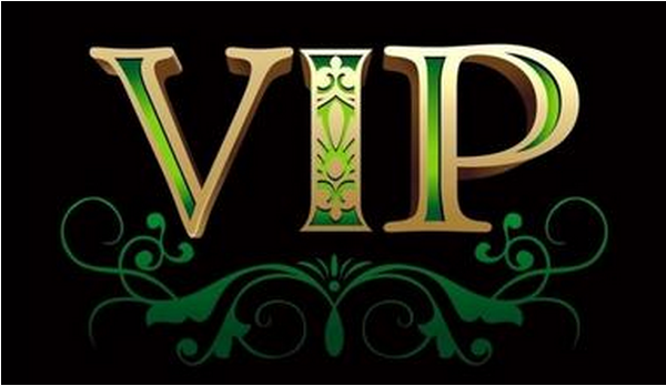 vip域名后缀是什么,vip域名后缀值得买吗 第2张 vip域名后缀是什么,vip域名后缀值得买吗 第2张