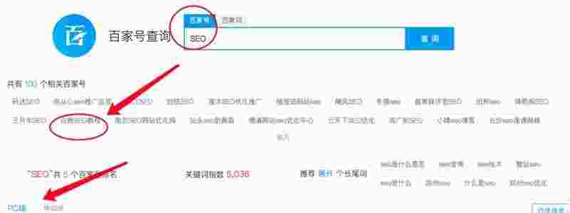 域名筛选软件哪个好用?长尾词推荐攻略 第2张 域名筛选软件哪个好用?长尾词推荐攻略 第2张