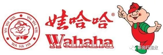 娃哈哈官网域名是什么？，域名怎么注册查询管理流程