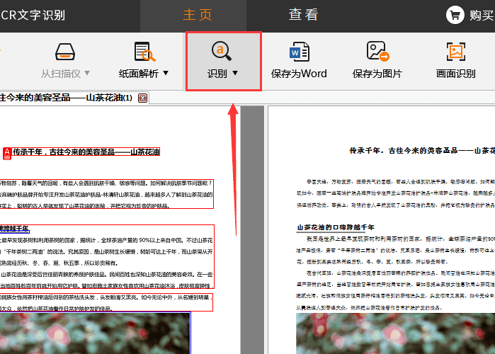 扫描图片文字PDF如何识别?OCR工具怎么用? 第1张 扫描图片文字PDF如何识别?OCR工具怎么用? 第1张