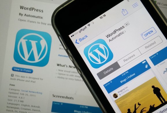WordPress建站效果如何? 第3张 WordPress建站效果如何? 第3张