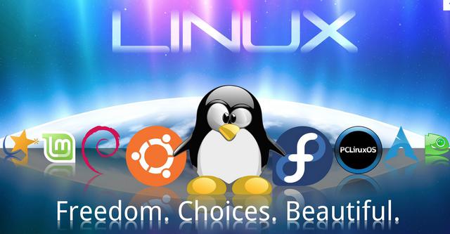 findlinux一层,这究竟是什么?Linux学习新篇章的开启? 第1张 findlinux一层,这究竟是什么?Linux学习新篇章的开启? 第1张