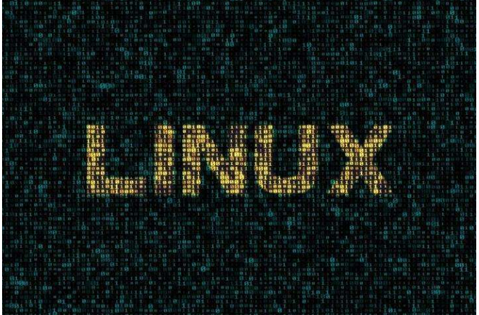 findlinux一层,这究竟是什么?Linux学习新篇章的开启? 第3张 findlinux一层,这究竟是什么?Linux学习新篇章的开启? 第3张
