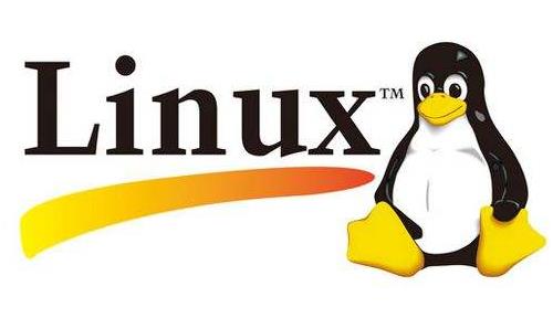 Linux虚拟主机究竟有哪些独特功能和用途? 第2张 Linux虚拟主机究竟有哪些独特功能和用途? 第2张
