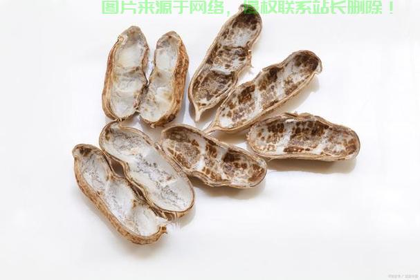 花生壳壳域名设置的具体步骤是什么？，花生壳壳域名设置方法