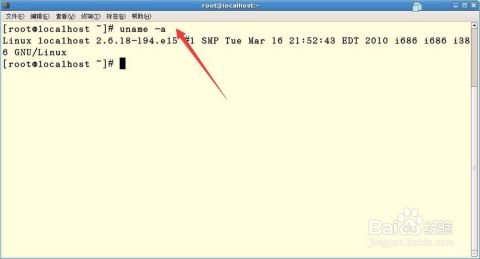 Linux系统类型如何查看? 第3张 Linux系统类型如何查看? 第3张