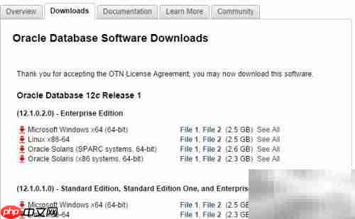 Oracle命令行创建数据库教程