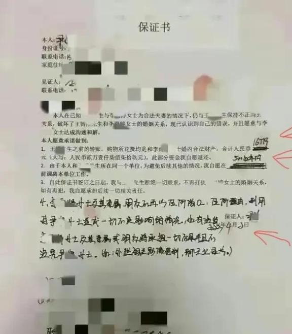 非职务软件开发保证书模板是什么?,怎么写? 第2张 非职务软件开发保证书模板是什么?,怎么写? 第2张