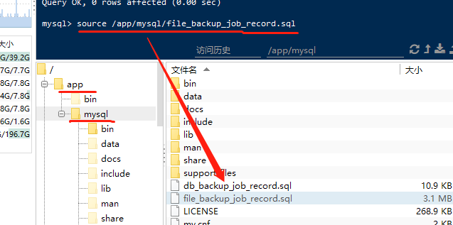 Linux如何导入数据库文件