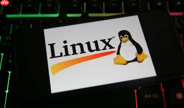 如何用fsck命令修复Linux文件系统?