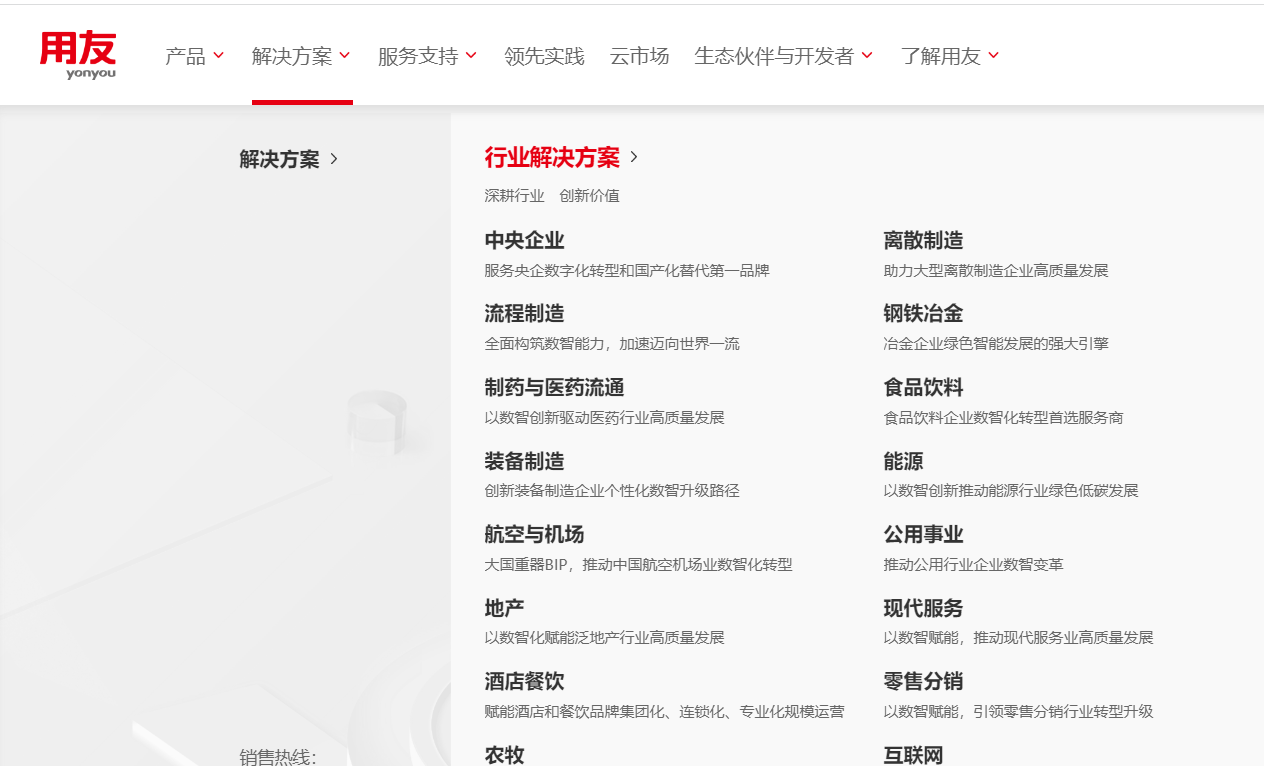 用友域名是什么,用友域名解析 第2张 用友域名是什么,用友域名解析 第2张