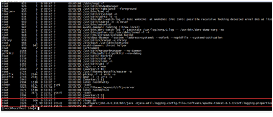 如何在Linux服务器上配置Tomcat域名？，Tomcat域名绑定操作步骤 第2张