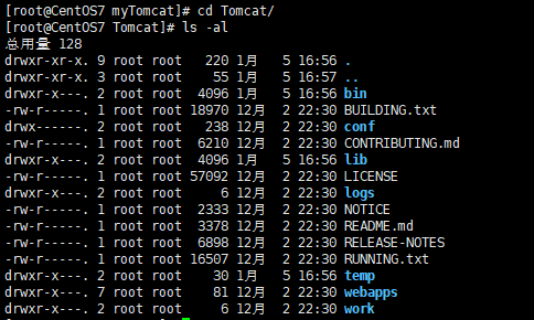 linux tomcat 配置,linux环境下tomcat如何配置 第1张 linux tomcat 配置,linux环境下tomcat如何配置 第1张