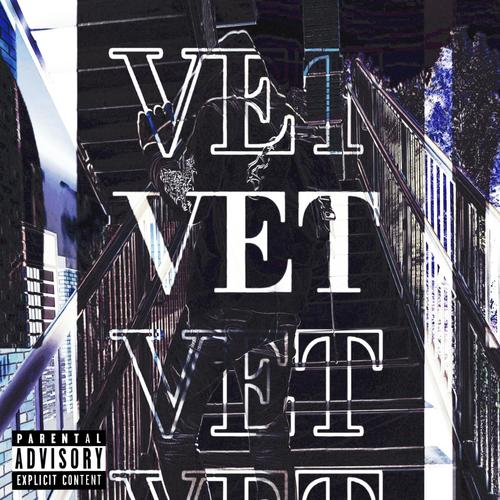 vet域名 第1张 vet域名 第1张