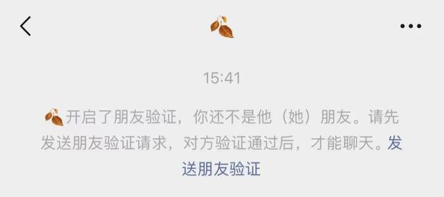 为何验证消息时,系统会突然加我为好友? 第2张 为何验证消息时,系统会突然加我为好友? 第2张