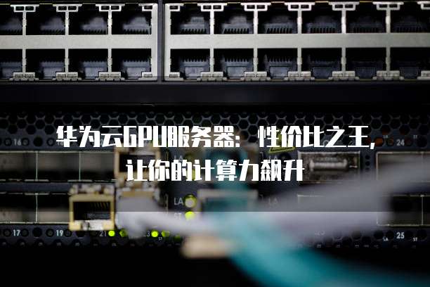 GPU服务器双11为何如此抢手?揭秘性价比之选疑问长尾标题? 第1张 GPU服务器双11为何如此抢手?揭秘性价比之选疑问长尾标题? 第1张