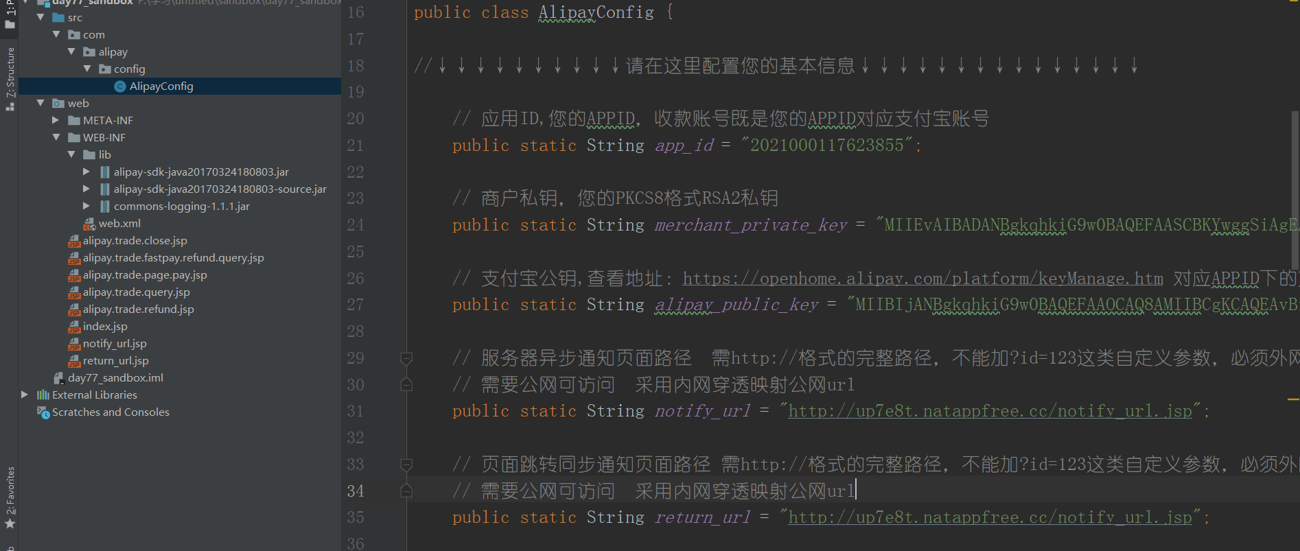 Java如何进行支付宝沙箱环境测试详解? 第2张 Java如何进行支付宝沙箱环境测试详解? 第2张