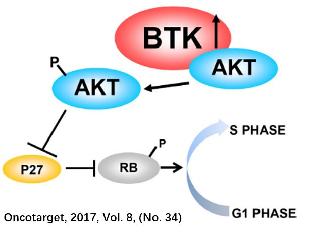 akt配置怎么设置,akt配置详细操作步骤有哪些