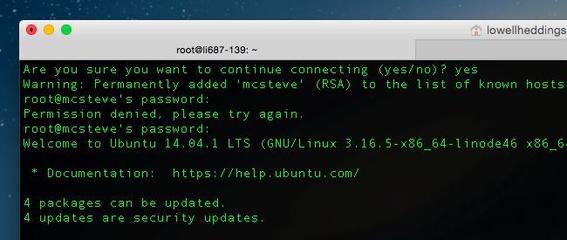 Ubuntu服务器安装过程中,有哪些常见问题与解决方案? 第2张 Ubuntu服务器安装过程中,有哪些常见问题与解决方案? 第2张