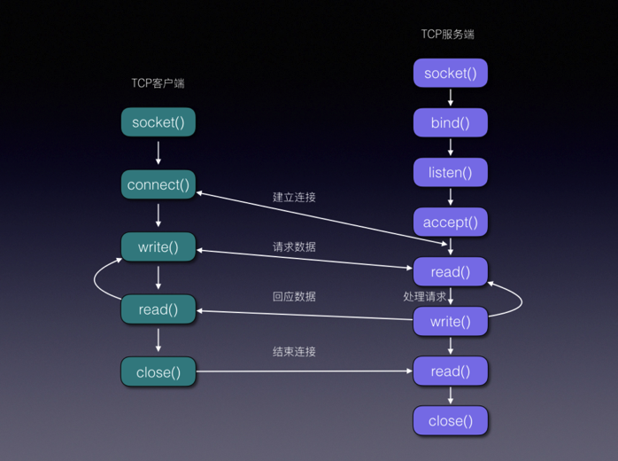 安卓系统如何高效实现与socket通信协议的兼容与优化? 第2张 安卓系统如何高效实现与socket通信协议的兼容与优化? 第2张
