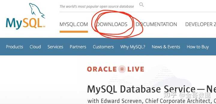 sql域名是什么?,sql域名怎么设置比较好? 第1张 sql域名是什么?,sql域名怎么设置比较好? 第1张