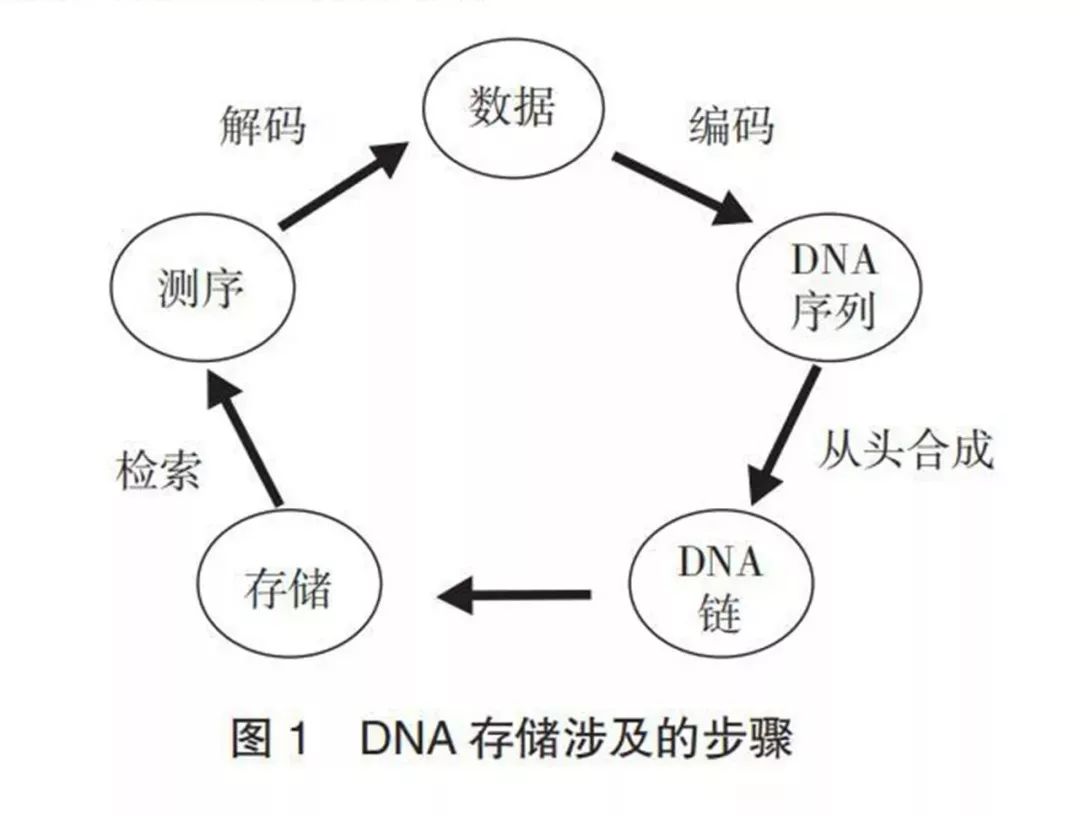 互联网视频DNA联调怎么解决?视频指纹识别技术原理 第2张 互联网视频DNA联调怎么解决?视频指纹识别技术原理 第2张
