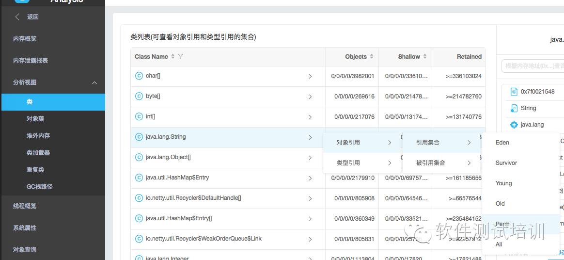 如何快速查询防护服务器Java应用详情,具体步骤有哪些?