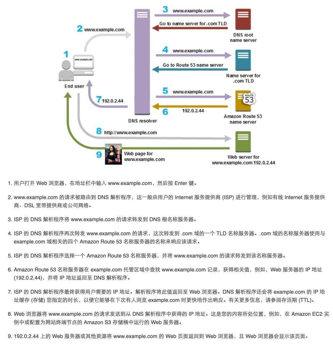 如何进行反向域名解析？这份文档内容详尽解析！