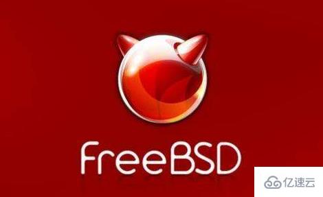 FreeBSD如何挂载存储?,挂载存储步骤是什么? 第1张 FreeBSD如何挂载存储?,挂载存储步骤是什么? 第1张