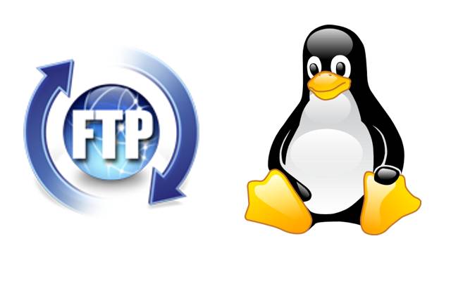 Linux下配置FTP服务器时，如何确保安全性及高效传输？
