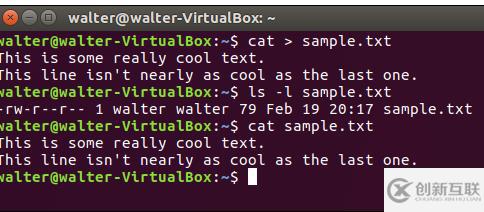 linux如何用命令打开文件 第2张 linux如何用命令打开文件 第2张