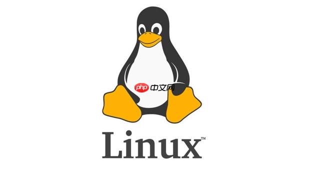 如何在Linux系统中快速查看主机序列号? 第1张 如何在Linux系统中快速查看主机序列号? 第1张