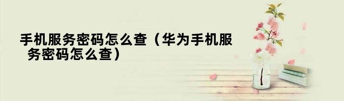 华为手机6s的服务器地址是什么,华为手机6s服务器地址怎么查 第1张 华为手机6s的服务器地址是什么,华为手机6s服务器地址怎么查 第1张