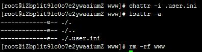 linux如何彻底删除文件